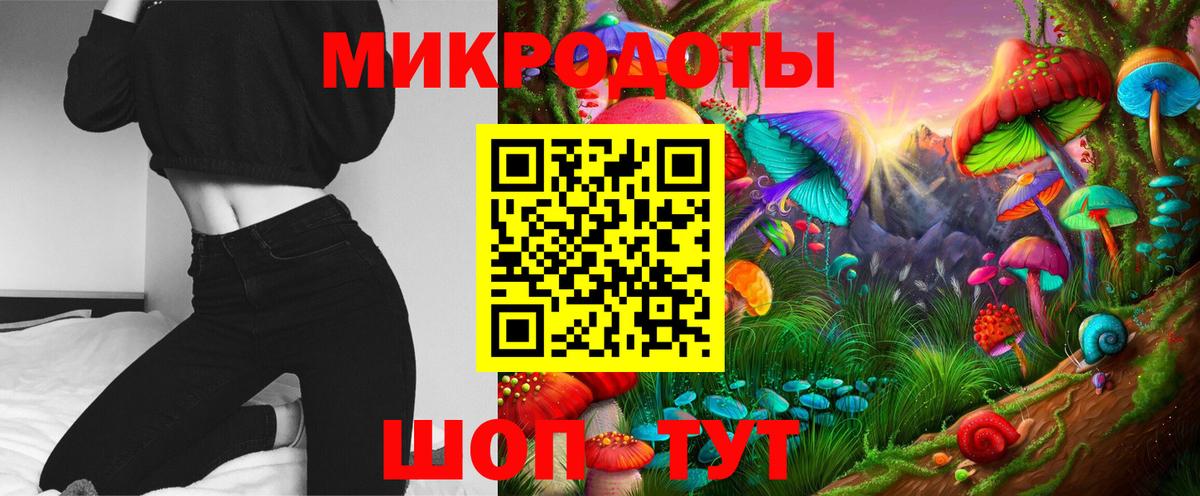 Галлюциногенные грибы Psilocybine cubensis Лабинск