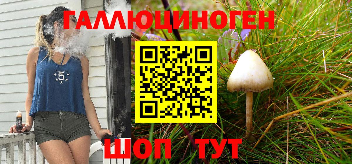 Галлюциногенные грибы Psilocybine cubensis  Псилоцибиновые грибы GOLDEN TEACHER  Лабинск  Вход с VPN 